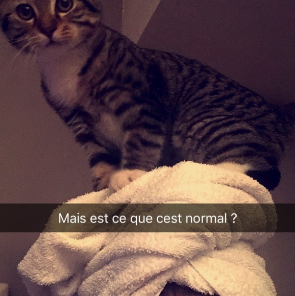 Meet your Posher, Jeffrey - Picture 1 of 1